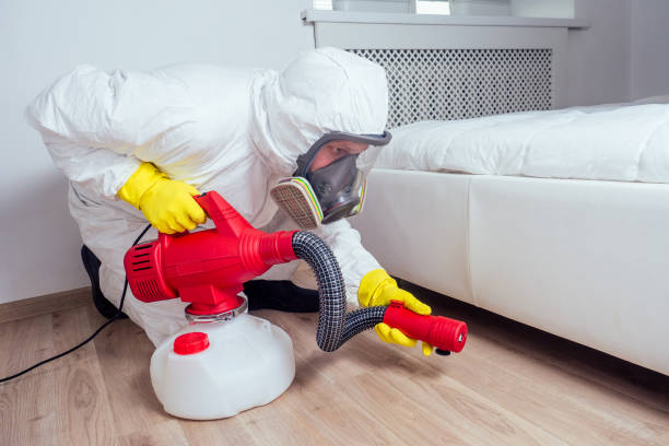 Best Cockroach Control Services  in Lowell, MI