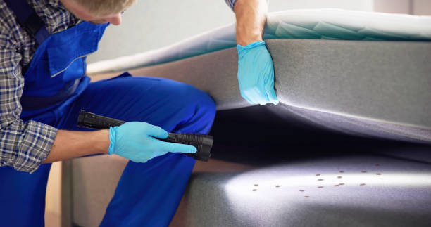 Best Mosquito Control Services  in Lowell, MI