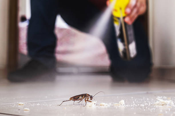 Best Residential Pest Control  in Lowell, MI