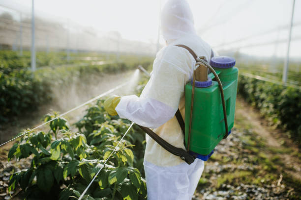 Best Pest Control Near Me  in Lowell, MI